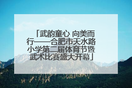 武韵童心 向美而行——合肥市天水路小学第二届体育节暨武术比赛盛大开幕
