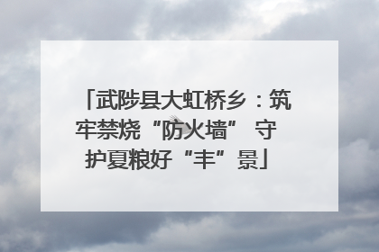 武陟县大虹桥乡：筑牢禁烧“防火墙” 守护夏粮好“丰”景