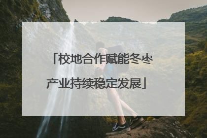 校地合作赋能冬枣产业持续稳定发展