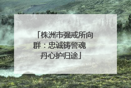 株洲市强戒所向群：忠诚铸警魂 丹心护归途