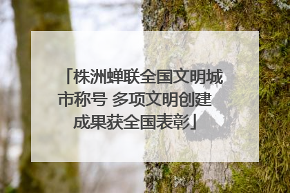 株洲蝉联全国文明城市称号 多项文明创建成果获全国表彰