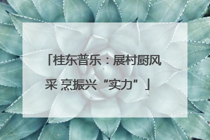 桂东普乐：展村厨风采 烹振兴“实力”