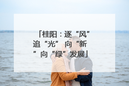 桂阳：逐“风”追“光” 向“新”向“绿”发展