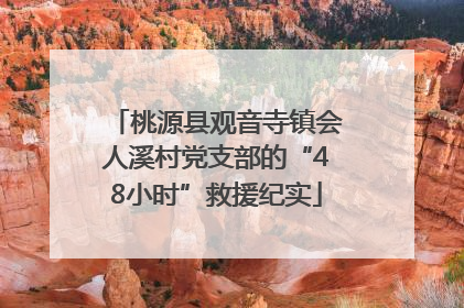 桃源县观音寺镇会人溪村党支部的“48小时”救援纪实