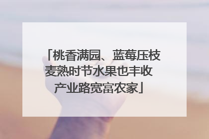 桃香满园、蓝莓压枝 麦熟时节水果也丰收 产业路宽富农家