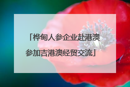 桦甸人参企业赴港澳参加吉港澳经贸交流