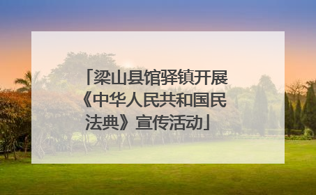 梁山县馆驿镇开展《中华人民共和国民法典》宣传活动