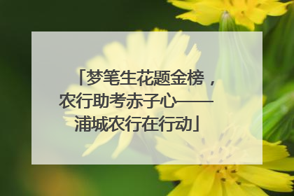 梦笔生花题金榜，农行助考赤子心——浦城农行在行动