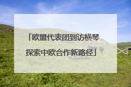 欧盟代表团到访横琴 探索中欧合作新路径