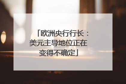 欧洲央行行长：美元主导地位正在变得不确定