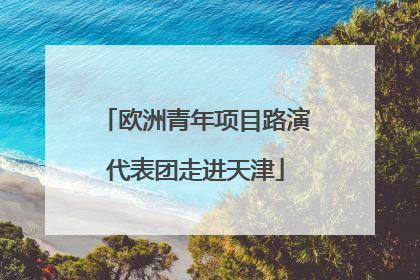 欧洲青年项目路演代表团走进天津