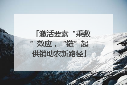 激活要素“乘数”效应，“链”起供销助农新路径