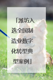 潍坊入选全国制造业数字化转型典型案例