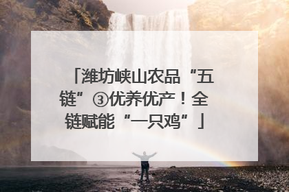 潍坊峡山农品“五链”③优养优产！全链赋能“一只鸡”