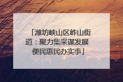潍坊峡山区岞山街道：聚力集采谋发展 便民惠民办实事