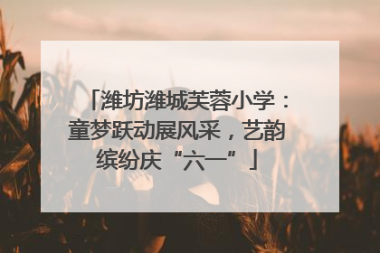 潍坊潍城芙蓉小学：童梦跃动展风采，艺韵缤纷庆“六一”