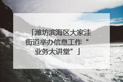 潍坊滨海区大家洼街道举办信息工作“业务大讲堂”