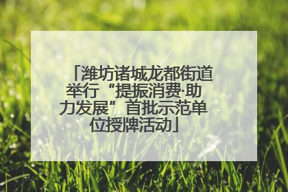 潍坊诸城龙都街道举行“提振消费·助力发展”首批示范单位授牌活动