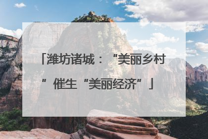 潍坊诸城：“美丽乡村”催生“美丽经济”
