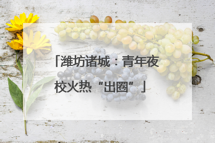 潍坊诸城：青年夜校火热“出圈”