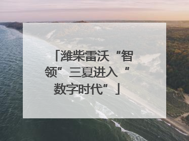 潍柴雷沃“智领”三夏进入“数字时代”
