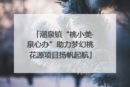 潮泉镇“桃小美·泉心办”助力梦幻桃花源项目扬帆起航