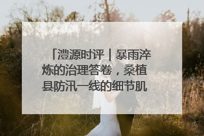 澧源时评｜暴雨淬炼的治理答卷，桑植县防汛一线的细节肌理与体系力量
