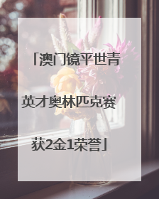 澳门镜平世青英才奥林匹克赛获2金1荣誉
