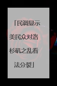 民调显示美民众对洛杉矶之乱看法分裂
