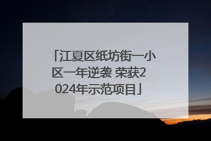 江夏区纸坊街一小区一年逆袭 荣获2024年示范项目