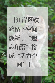 江岸区铁路桥下空间焕新，“遗忘角落”将成“活力空间”