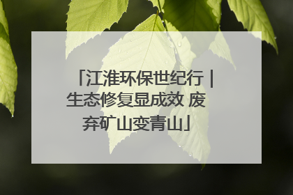 江淮环保世纪行｜生态修复显成效 废弃矿山变青山