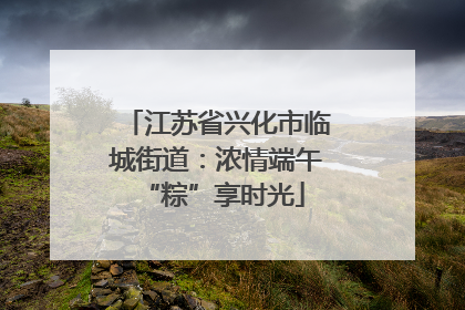江苏省兴化市临城街道：浓情端午 “粽”享时光
