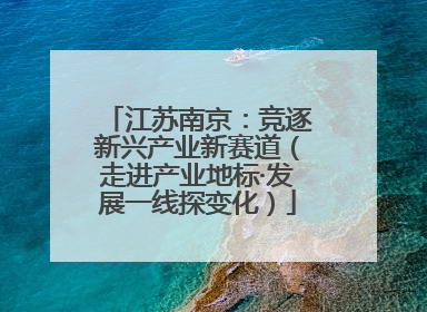 江苏南京：竞逐新兴产业新赛道（走进产业地标·发展一线探变化）