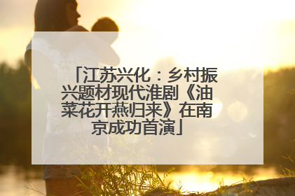 江苏兴化：乡村振兴题材现代淮剧《油菜花开燕归来》在南京成功首演