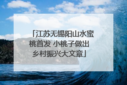 江苏无锡阳山水蜜桃首发 小桃子做出乡村振兴大文章