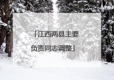 江西两县主要负责同志调整