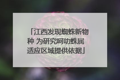 江西发现蜘蛛新物种 为研究呵叻蛛属适应区域提供依据