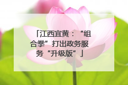 江西宜黄：“组合拳”打出政务服务“升级版”