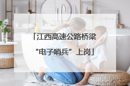江西高速公路桥梁“电子哨兵”上岗