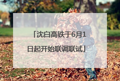 沈白高铁于6月1日起开始联调联试