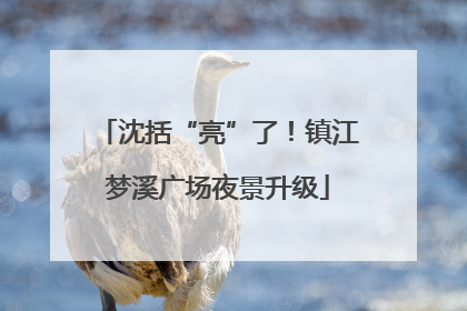 沈括“亮”了！镇江梦溪广场夜景升级