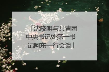 沈晓明与共青团中央书记处第一书记阿东一行会谈