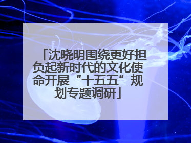 沈晓明围绕更好担负起新时代的文化使命开展“十五五”规划专题调研