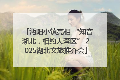 沔阳小镇亮相 “知音湖北，相约大湾区” 2025湖北文旅推介会