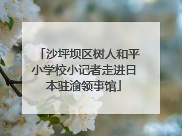 沙坪坝区树人和平小学校小记者走进日本驻渝领事馆