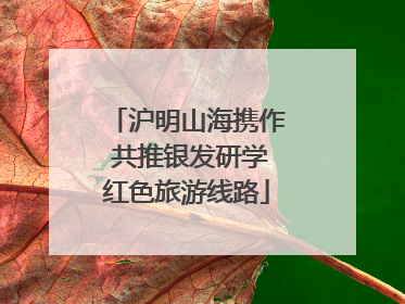 沪明山海携作 共推银发研学红色旅游线路