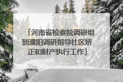 河南省检察院调研组到濮阳调研指导社区矫正和财产执行工作