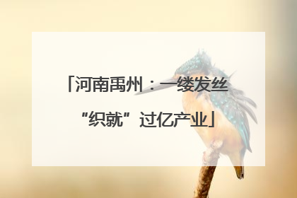 河南禹州：一缕发丝“织就”过亿产业