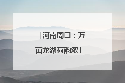 河南周口：万亩龙湖荷韵浓